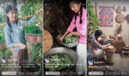 中国茶叶爆料视频最新,最新爆料视频深度解析